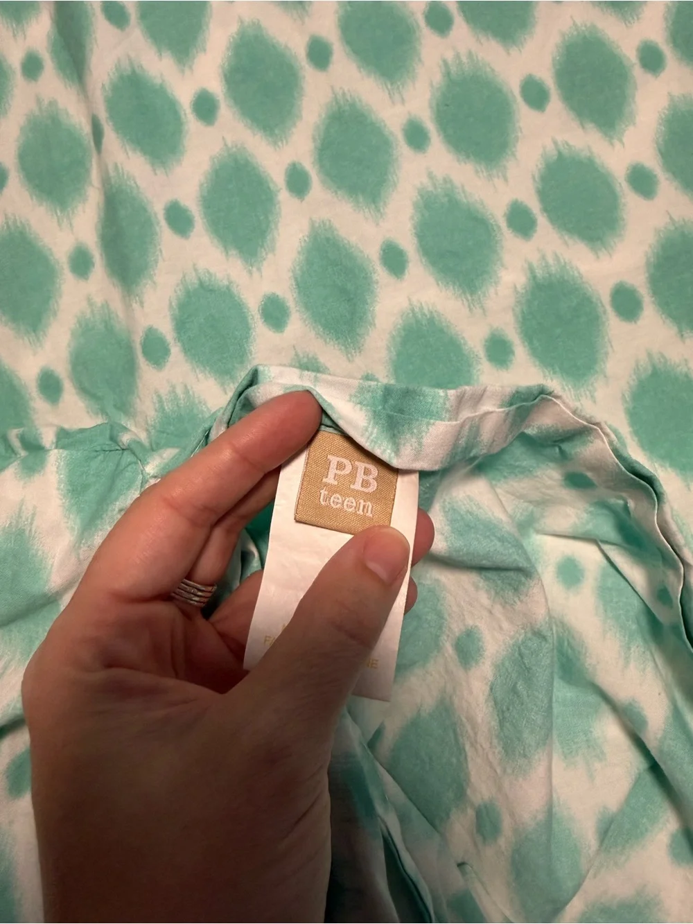 Pottery Barn duvet and pillow shams